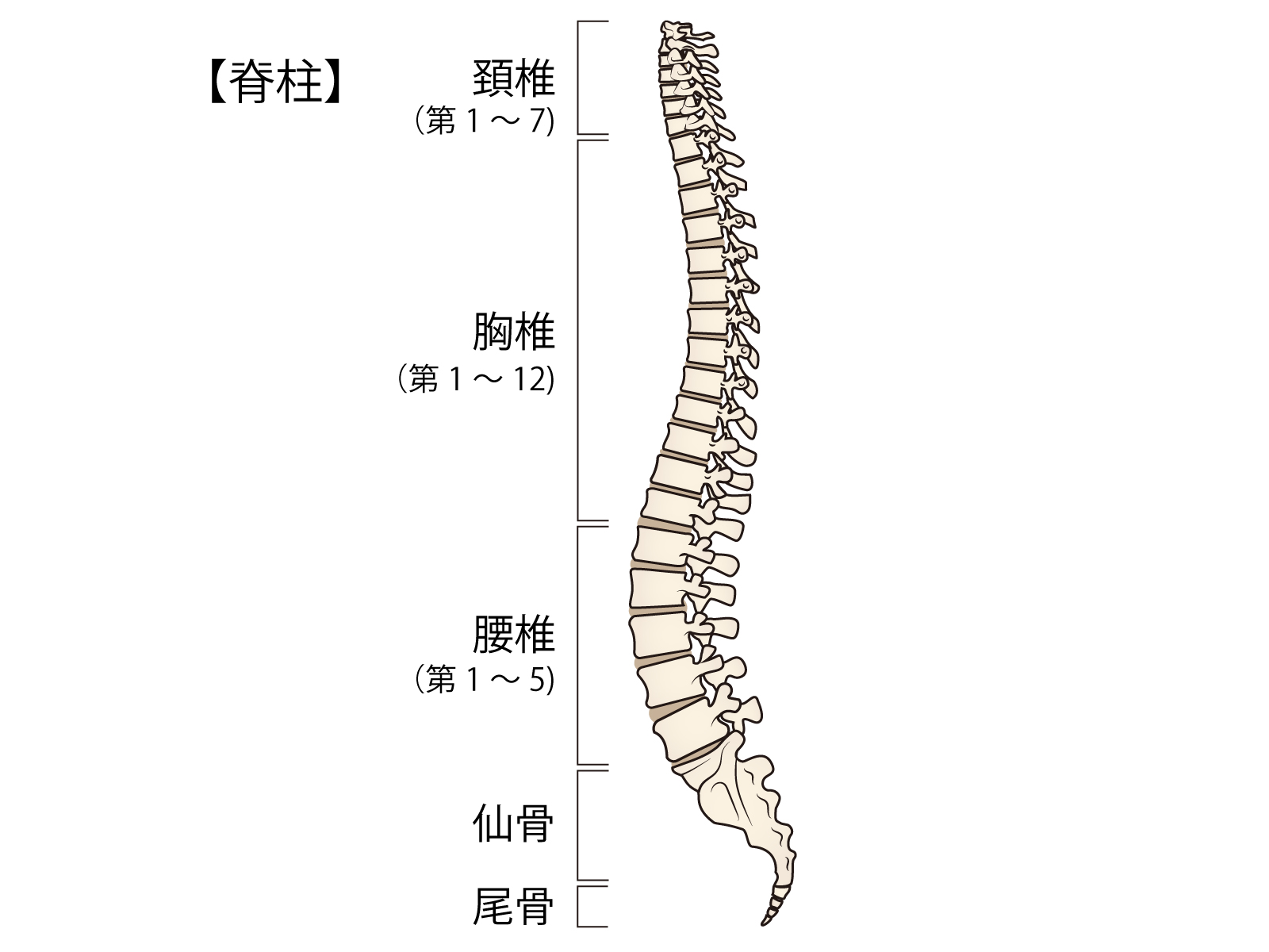 the symptoms of each part